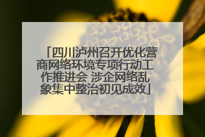 四川泸州召开优化营商网络环境专项行动工作推进会 涉企网络乱象集中整治初见成效