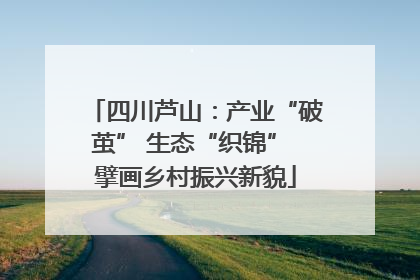 四川芦山：产业“破茧” 生态“织锦” 擘画乡村振兴新貌