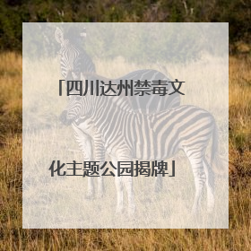 四川达州禁毒文化主题公园揭牌