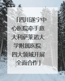 四川遂宁中心医院牵手意大利萨莱诺大学附属医院 四大领域开展全面合作