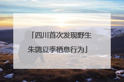 四川首次发现野生朱鹮夏季栖息行为