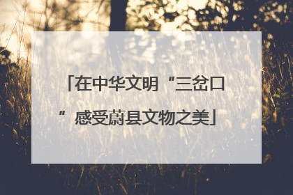 在中华文明“三岔口”感受蔚县文物之美