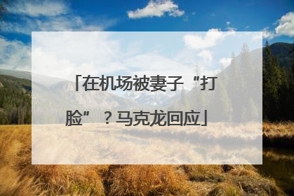 在机场被妻子“打脸”？马克龙回应