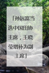 孙远富当选中国田协主席，王晓莹增补为副主席