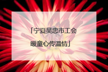 宁夏吴忠市工会暖童心传温情