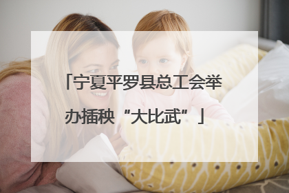 宁夏平罗县总工会举办插秧“大比武”