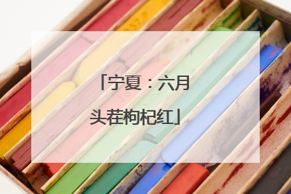 宁夏：六月头茬枸杞红
