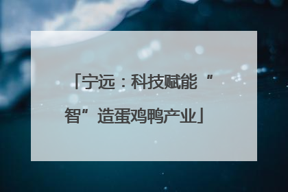 宁远：科技赋能“智”造蛋鸡鸭产业