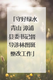 守好绿水青山 漳浦县委书记督导涉林图斑整改工作