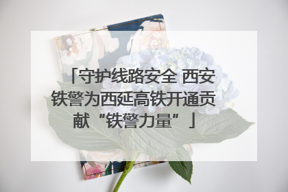 守护线路安全 西安铁警为西延高铁开通贡献“铁警力量”