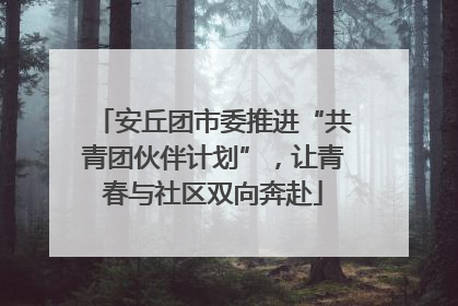 安丘团市委推进“共青团伙伴计划”，让青春与社区双向奔赴