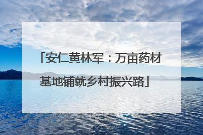 安仁黄林军：万亩药材基地铺就乡村振兴路