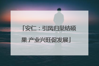安仁：引凤归巢结硕果 产业兴旺促发展