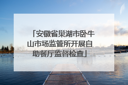 安徽省巢湖市卧牛山市场监管所开展自助餐厅监督检查