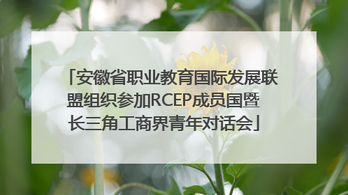 安徽省职业教育国际发展联盟组织参加RCEP成员国暨长三角工商界青年对话会