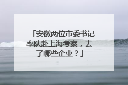 安徽两位市委书记率队赴上海考察，去了哪些企业？