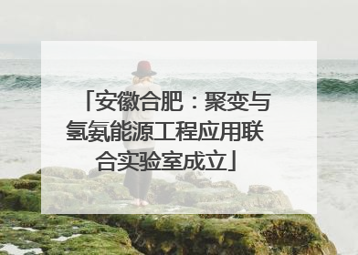 安徽合肥：聚变与氢氨能源工程应用联合实验室成立
