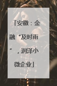 安徽：金融“及时雨”，润泽小微企业
