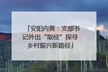 安阳内黄：支部书记外出“取经”探寻乡村振兴新路径
