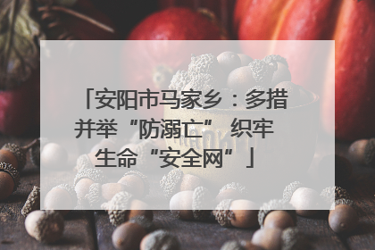 安阳市马家乡：多措并举“防溺亡” 织牢生命“安全网”
