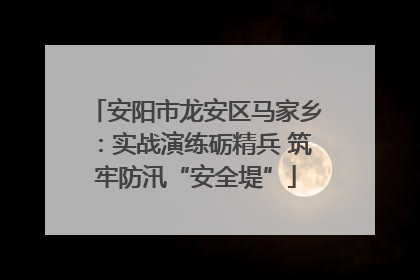 安阳市龙安区马家乡：实战演练砺精兵 筑牢防汛“安全堤”