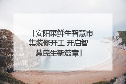 安阳菜鲜生智慧市集装修开工 开启智慧民生新篇章