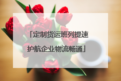 定制货运班列提速 护航企业物流畅通