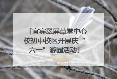 宜宾翠屏草堂中心校初中校区开展庆“六一”游园活动