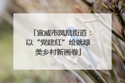 宣威市凤凰街道：以“党建红”绘就绿美乡村新画卷