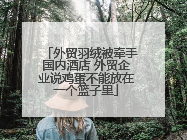 外贸羽绒被牵手国内酒店 外贸企业说鸡蛋不能放在一个篮子里