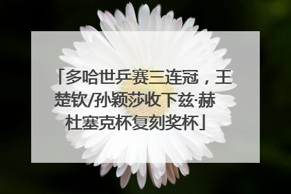 多哈世乒赛三连冠，王楚钦/孙颖莎收下兹·赫杜塞克杯复刻奖杯
