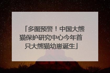 多图预警！中国大熊猫保护研究中心今年首只大熊猫幼崽诞生
