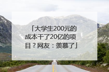 大学生200元的成本干了20亿的项目？网友：羡慕了