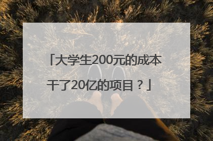 大学生200元的成本干了20亿的项目？