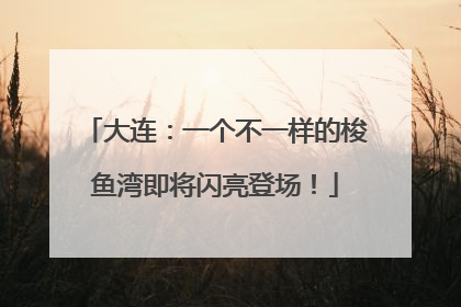 大连：一个不一样的梭鱼湾即将闪亮登场！