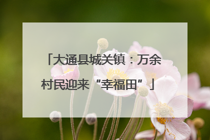 大通县城关镇：万余村民迎来“幸福田”