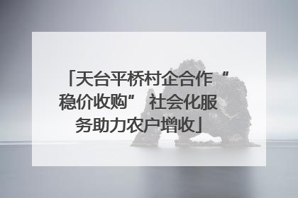 天台平桥村企合作“稳价收购” 社会化服务助力农户增收