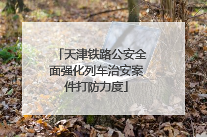 天津铁路公安全面强化列车治安案件打防力度