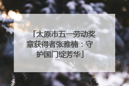太原市五一劳动奖章获得者张雅楠：守护国门绽芳华
