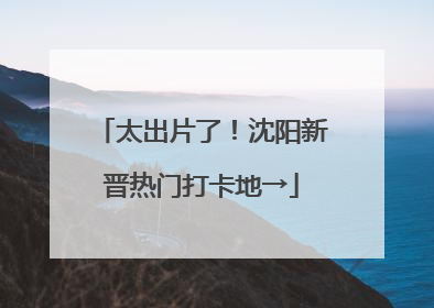 太出片了！沈阳新晋热门打卡地→