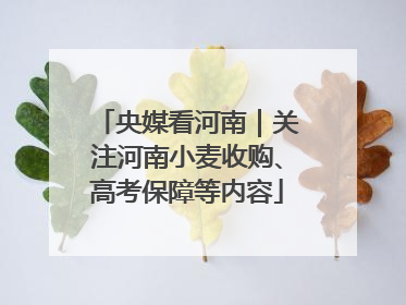 央媒看河南｜关注河南小麦收购、高考保障等内容