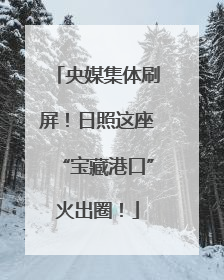 央媒集体刷屏！日照这座“宝藏港口”火出圈！