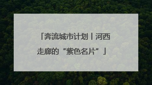 奔流城市计划丨河西走廊的“紫色名片”