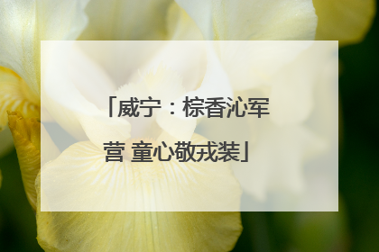 威宁：棕香沁军营 童心敬戎装