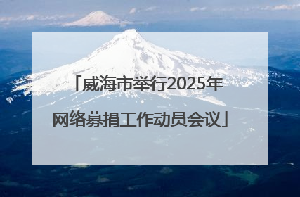 威海市举行2025年网络募捐工作动员会议