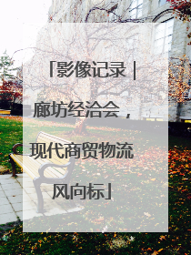 影像记录｜廊坊经洽会，现代商贸物流风向标