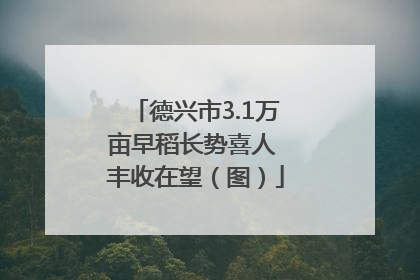 德兴市3.1万亩早稻长势喜人 丰收在望（图）