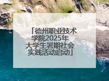 德州职业技术学院2025年大学生暑期社会实践活动启动