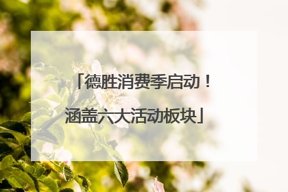 德胜消费季启动！涵盖六大活动板块