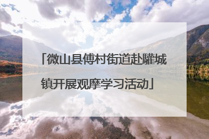 微山县傅村街道赴驩城镇开展观摩学习活动